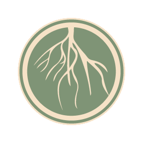 Radix Chiropractic Footer Logo